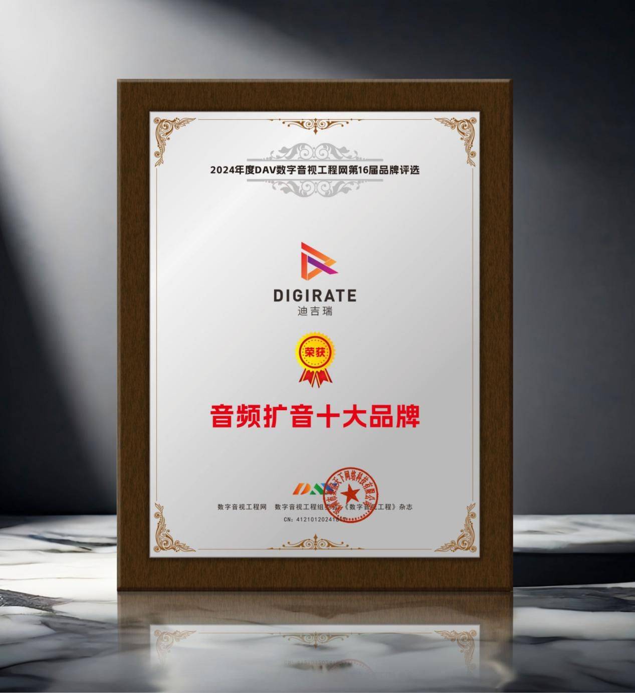 2024年度音频扩音十大品牌”名单公布！j9九游会登录喜讯来袭！ DAV01“(图6)